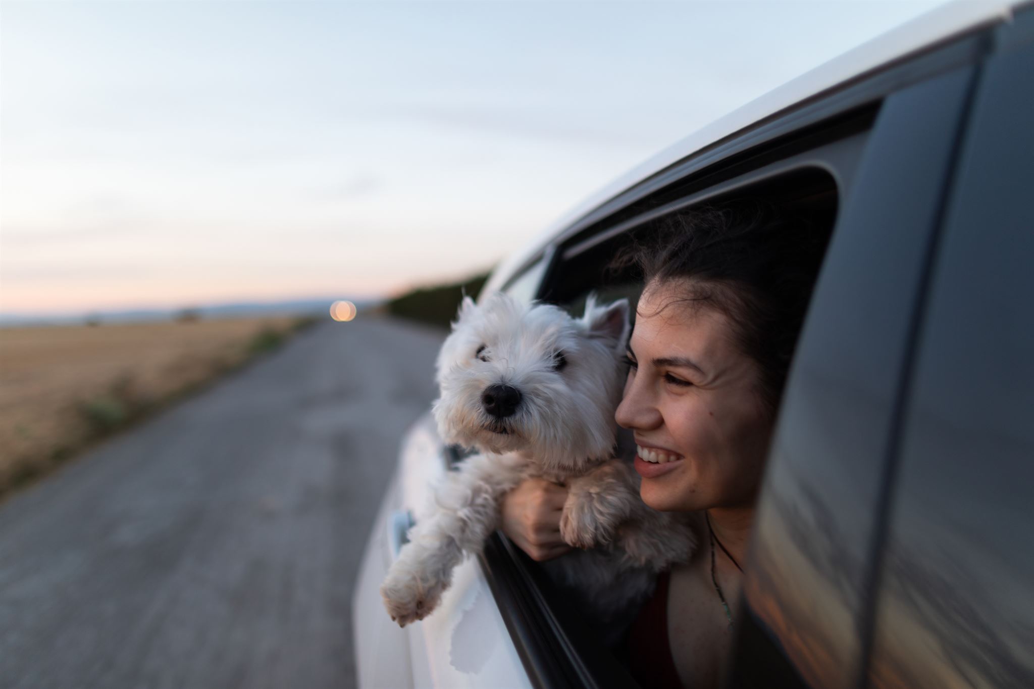 Person-and-dog-in-car