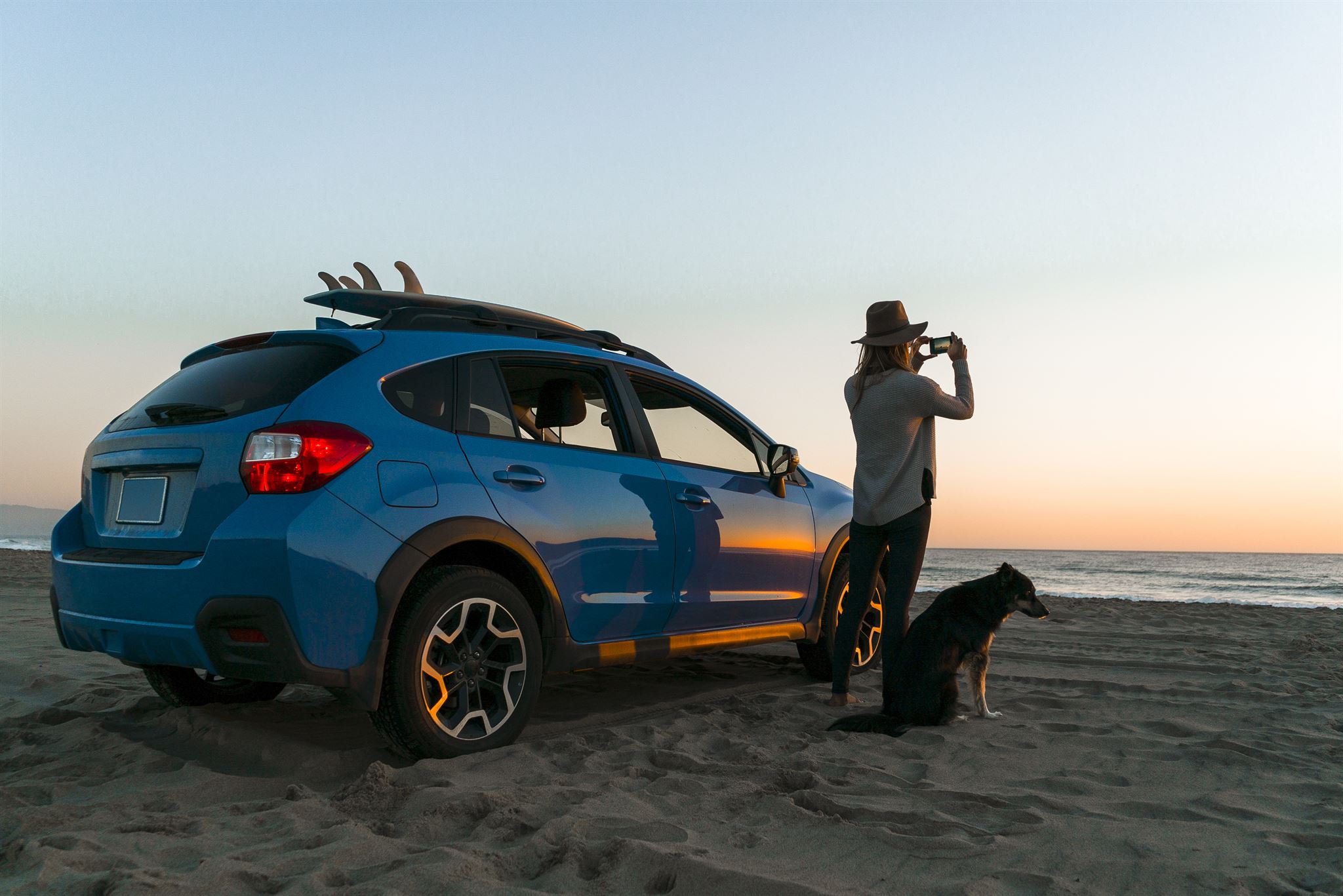 Person-with-car-and-dog-on-beach